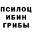 Псилоцибиновые грибы Psilocybine cubensis Omma Tokite