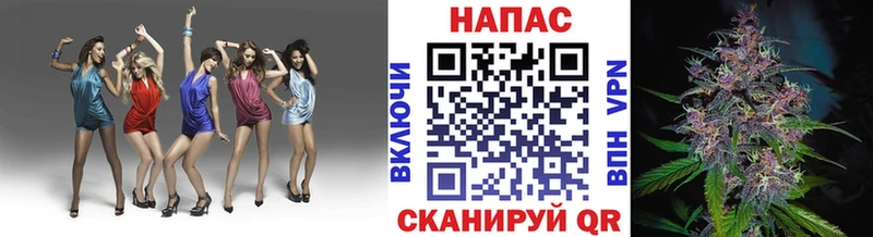 Конопля VHQ  где купить   Торопец 